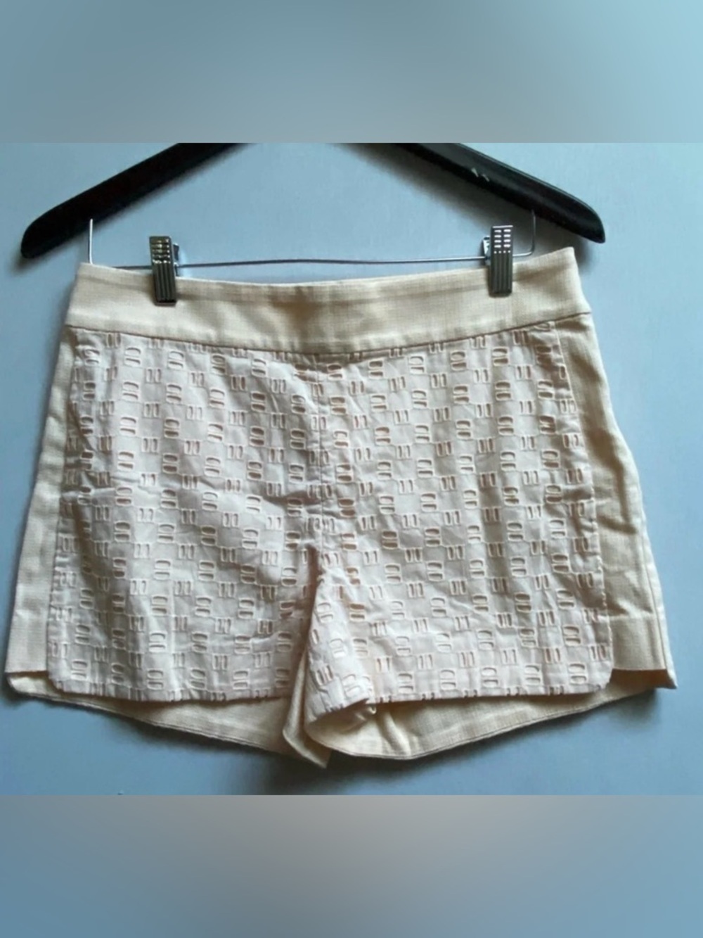 J. Crew Peach Coral Cotton Eyelet Basket Weave Shorts Size 6